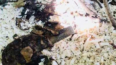 У Яворівському районі знайшли застарілі боєприпаси (ФОТО)