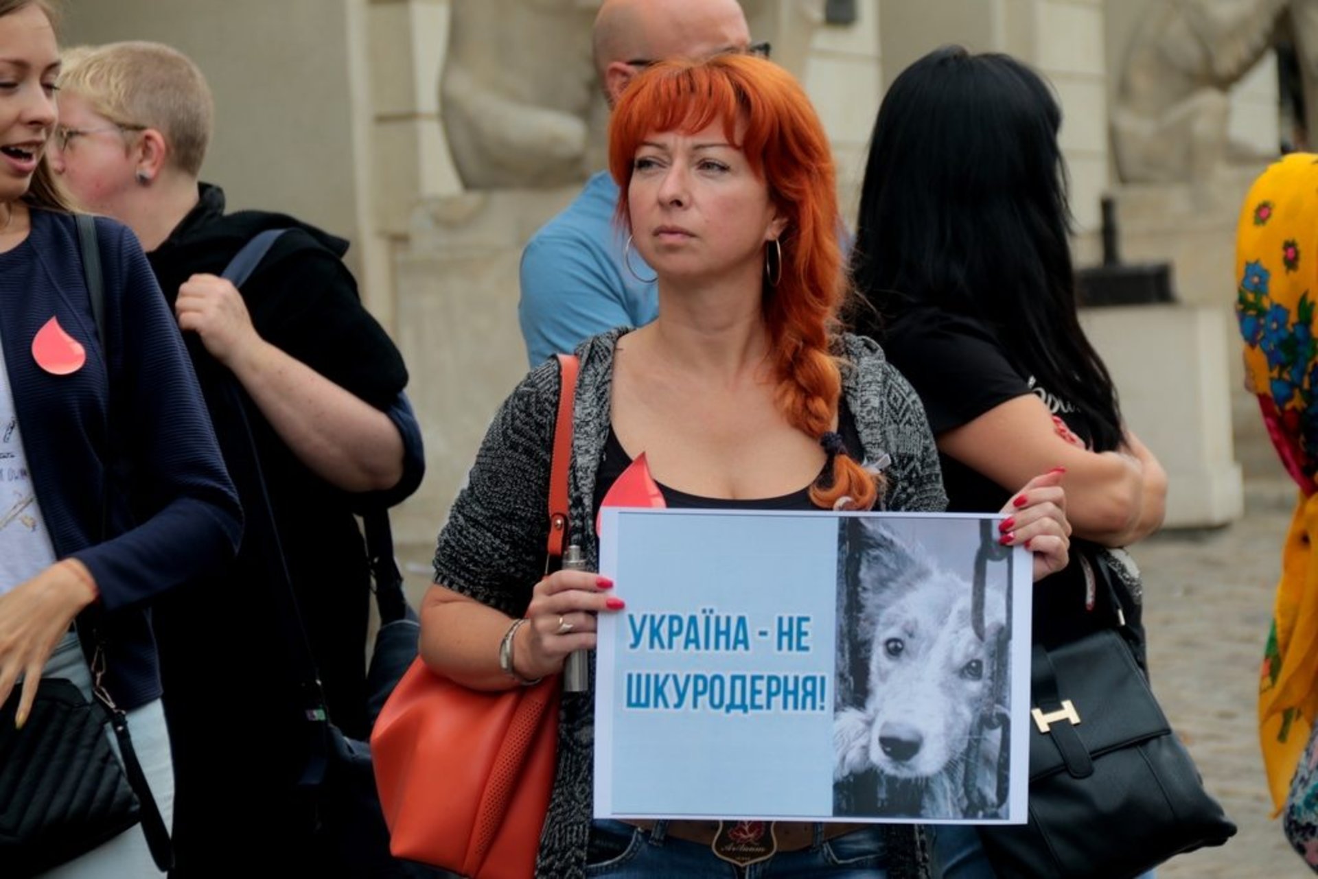 Акція "Україна — не живодерня", Львів, 20.07.18