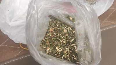 Українець віз до Польщі марихуану (ФОТО, ВІДЕО)