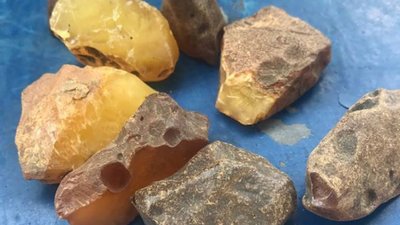 Майже 12 кілограмів бурштину прикордонники виявили на кордоні з Польщею