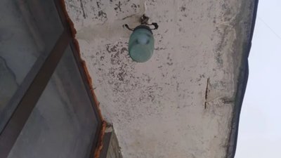 У Львові двірник три місяці не виконує свою роботу