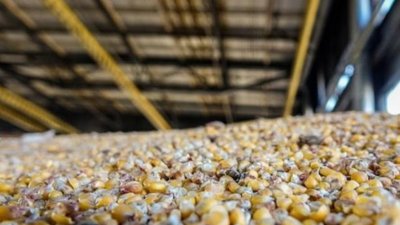 На Львівщині тривають осінні польові роботи