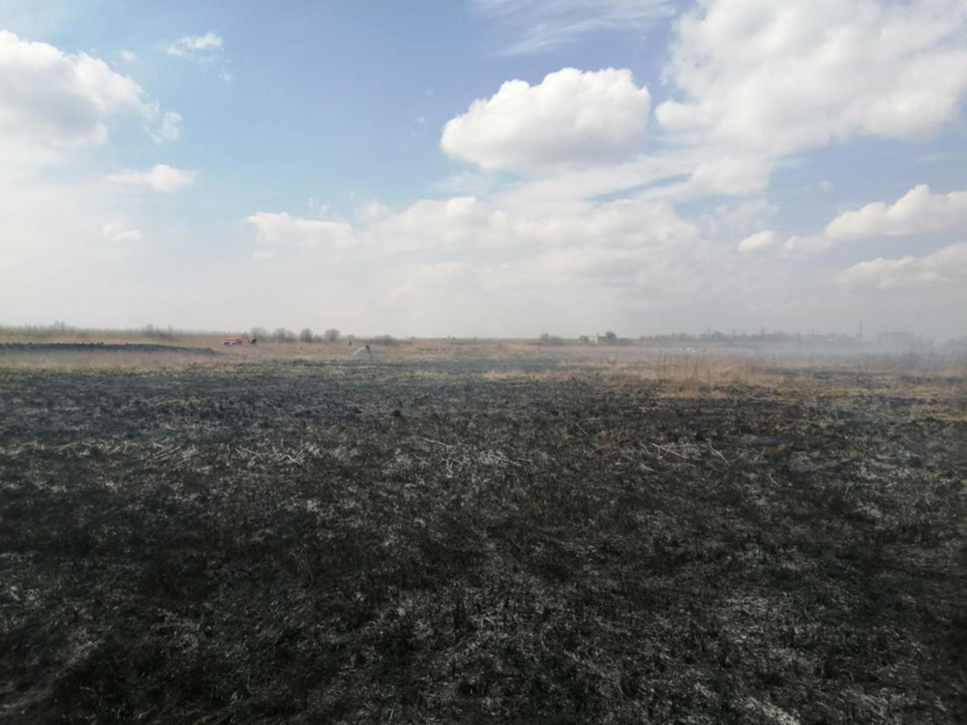 Як на Львівщині горіло торфовище. Фото: ДСНС.