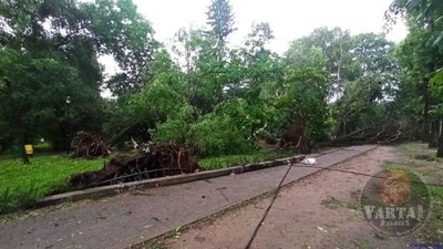 У Львові мешканців просять у негоду не виходити з дому (ВІДЕО)
