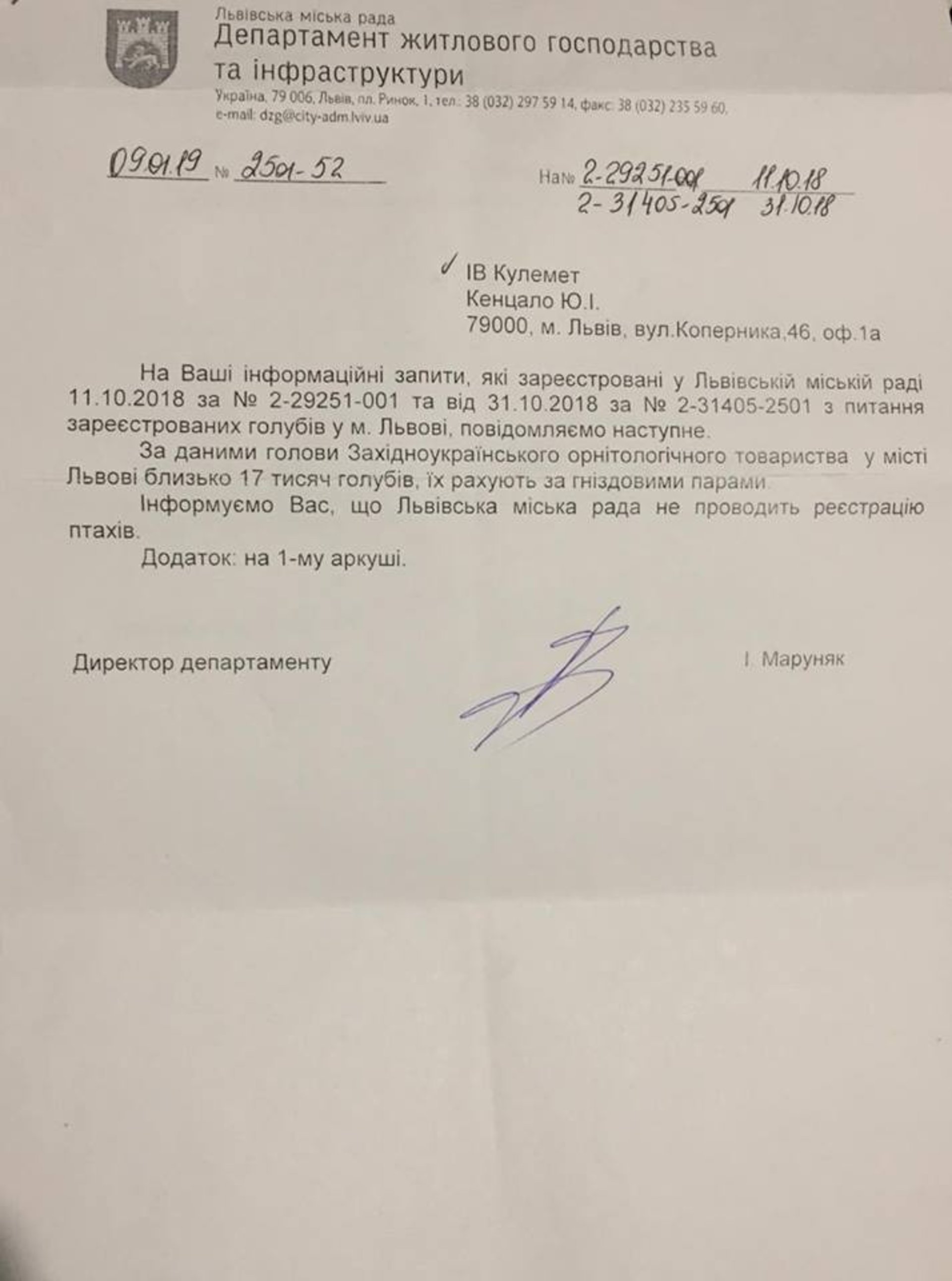 У Львові зареєстровано 17 тисяч голубів. Фото: 4studio.