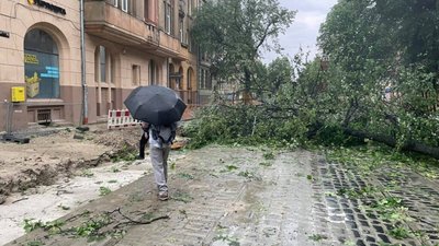 На Львівщині негода позбавила світла 60 сіл