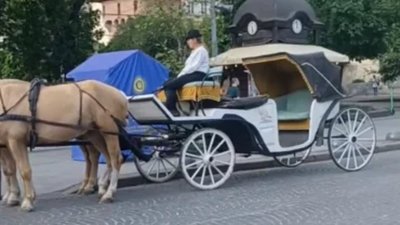 Карети з кіньми повернулись у центр Львова (ВІДЕО)