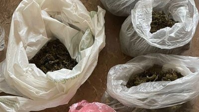 У Дрогобичі в будинку місцевого мешканця виявлено тайник із висушеною коноплею