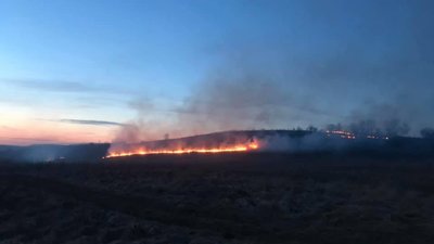 Як на Жовківщині горить поле (ВІДЕО)