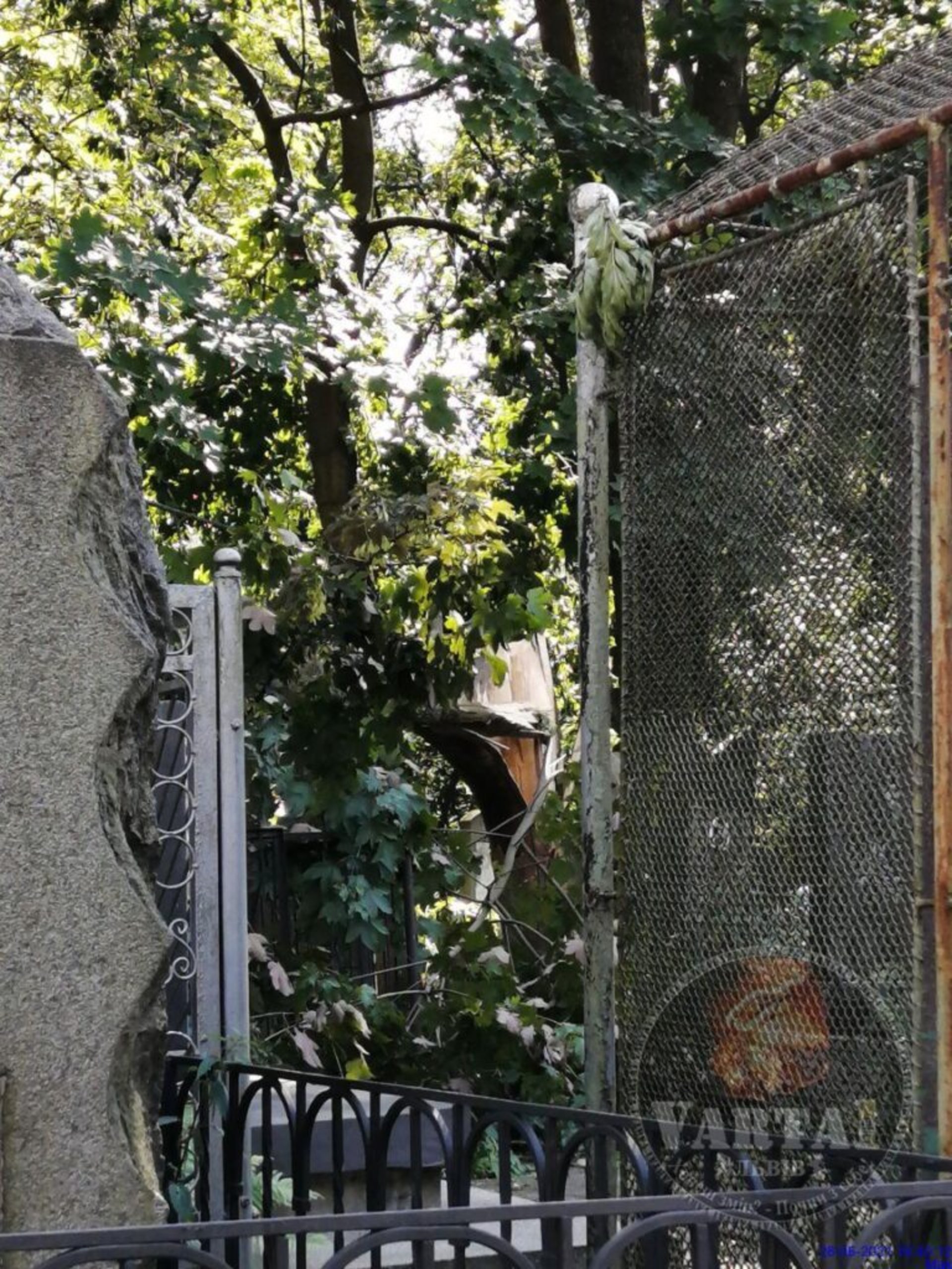 У Львові буревій знищив могили на Янівському кладовищі