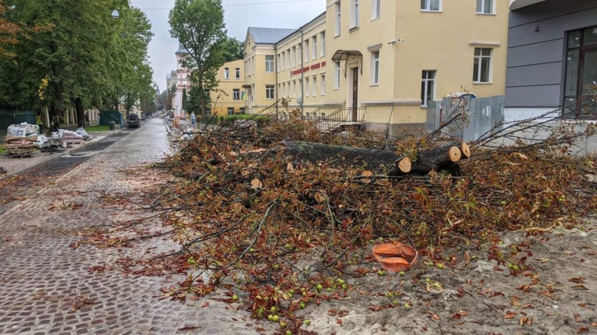 У Львові на Пекарській зрізали два дерева, фото ВелоЛьвів