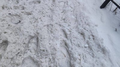 У Львові забули про прибирання на одній з вулиць