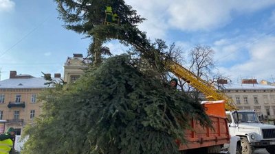 У Львові демонтували головну ялинку міста (ВІДЕО)