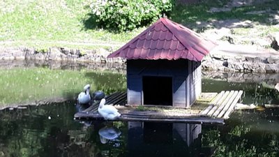 Як у Львові занепадає Стрийський парк