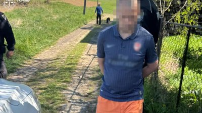 На Львівщині чоловік вбив маму через кошенят
