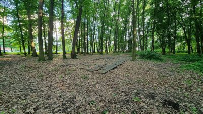 У Львові на Сихові облаштують новий майданчик для вигулу собак (ФОТО)