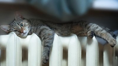 У Львові стався витік води