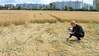 Прокуратура на Бродівщині повернула майже 40 га земель вартістю 25,6 млн грн