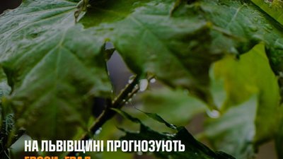У Львові прогнозують грози і град