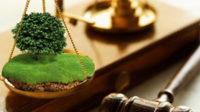 25 жовтня на Львівщині стартує  земельний аукціон з продажу земельних ділянок