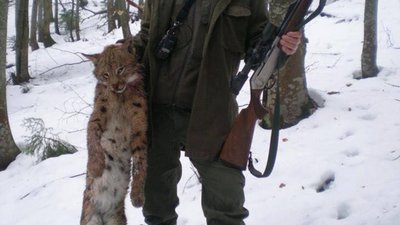 На Львівщині лісничі похизувалися світлинами вбитої червонокнижної рисі
