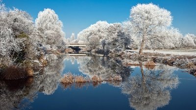 На Львівщині підуть з молотка ставки і земельні ділянки