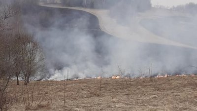 На Львівщині через паліїв трави горіла хата та електроопори біля «Ріксос-Прикарпаття»