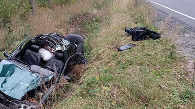 На Львівщині корова вбила водія автомобіля