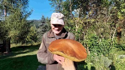 У Карпатах знайшли гриба-гіганта (ФОТО)