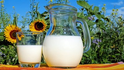 В Україні продовжує зменшуватись виробництво молока