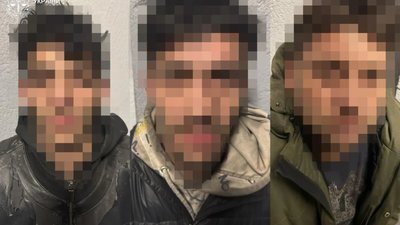 На Львівщині троє мешканців Закарпаття напали на жінку