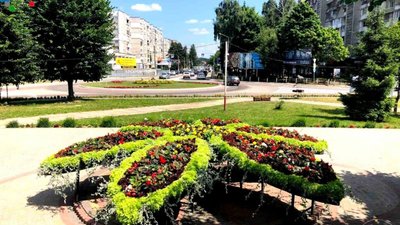 У Новояворівську облаштували клумбу у формі квітки (ФОТО)