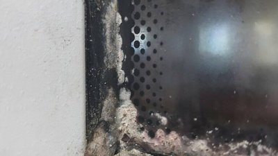 У Львові комунальне АТП почало вирощувати гриби (ФОТО)