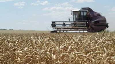 На Львівщині завершили обмолот ранніх зернових культур
