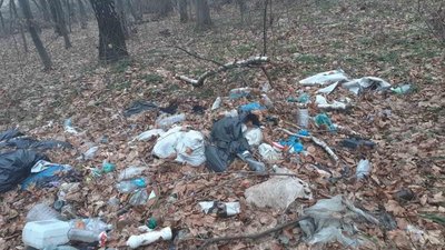 Лісівники у ДП «Львіський лісгосп» спільно з небайдужими мешканцями прибрали у лісі