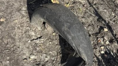 У Львові мешканці будинку готуються до протесту