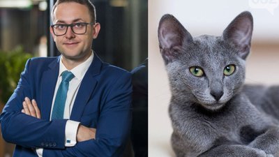 Як журналісти побачили схожість львівського губернатора з російським блакитним котом (ФОТО)