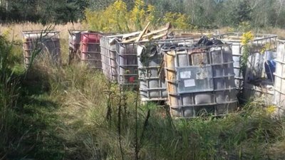 У Яворівському районі виявили 20 ящиків з трупами свиней (ФОТО)