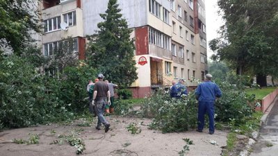 Понад сотня повалених дерев та підтоплені будівлі: наслідки негоди у Львові (ВІДЕО)