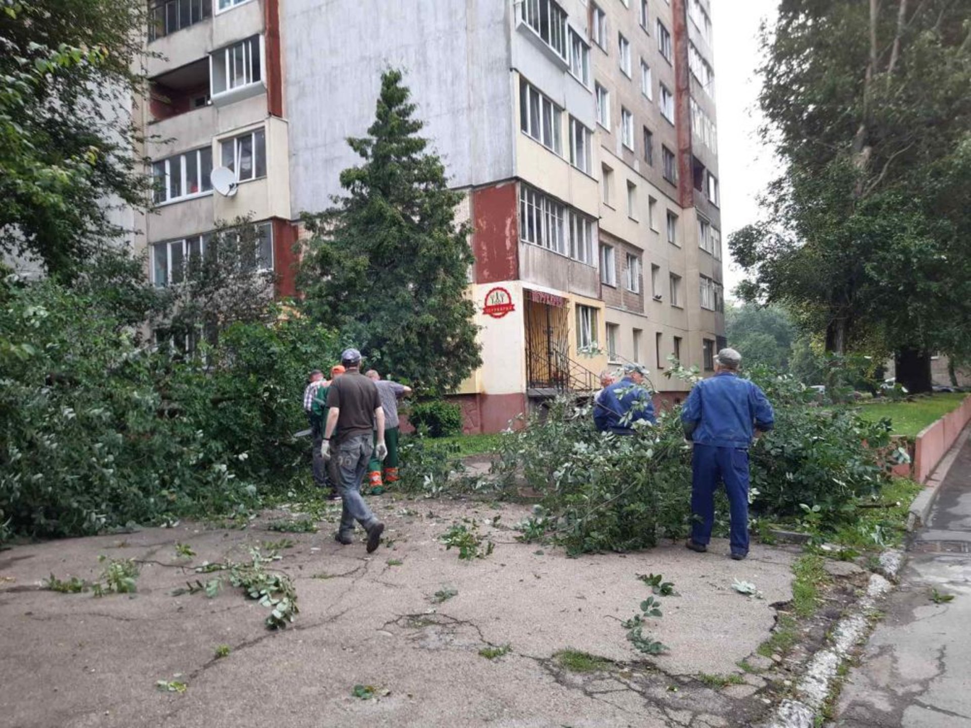 У Львові комунальники продовжують прибирати наслідки негоди, фото ЛМР