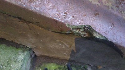 У Львові у будинку виявили тріщини (ФОТО)