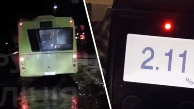 У львів'янина, який скоїв ДТП, норма алкоголю в крові була перевищена в понад 10 разів