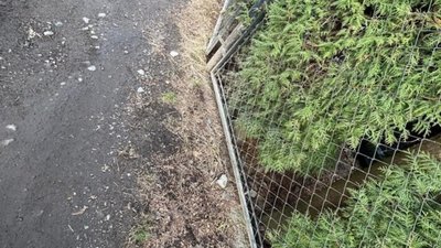 У Львові просять відремонтувати дорогу до садочку