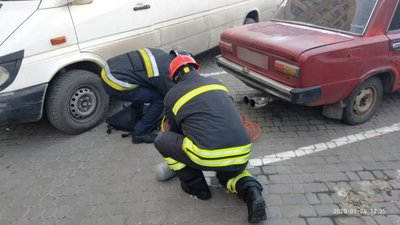 У Львові автомобіль переїхав пішохода