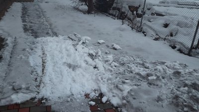 Січень у Києві був майже на 2 градуси тепліший від норми