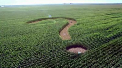 На Львівщині подали до суду через мораторій на продаж землі