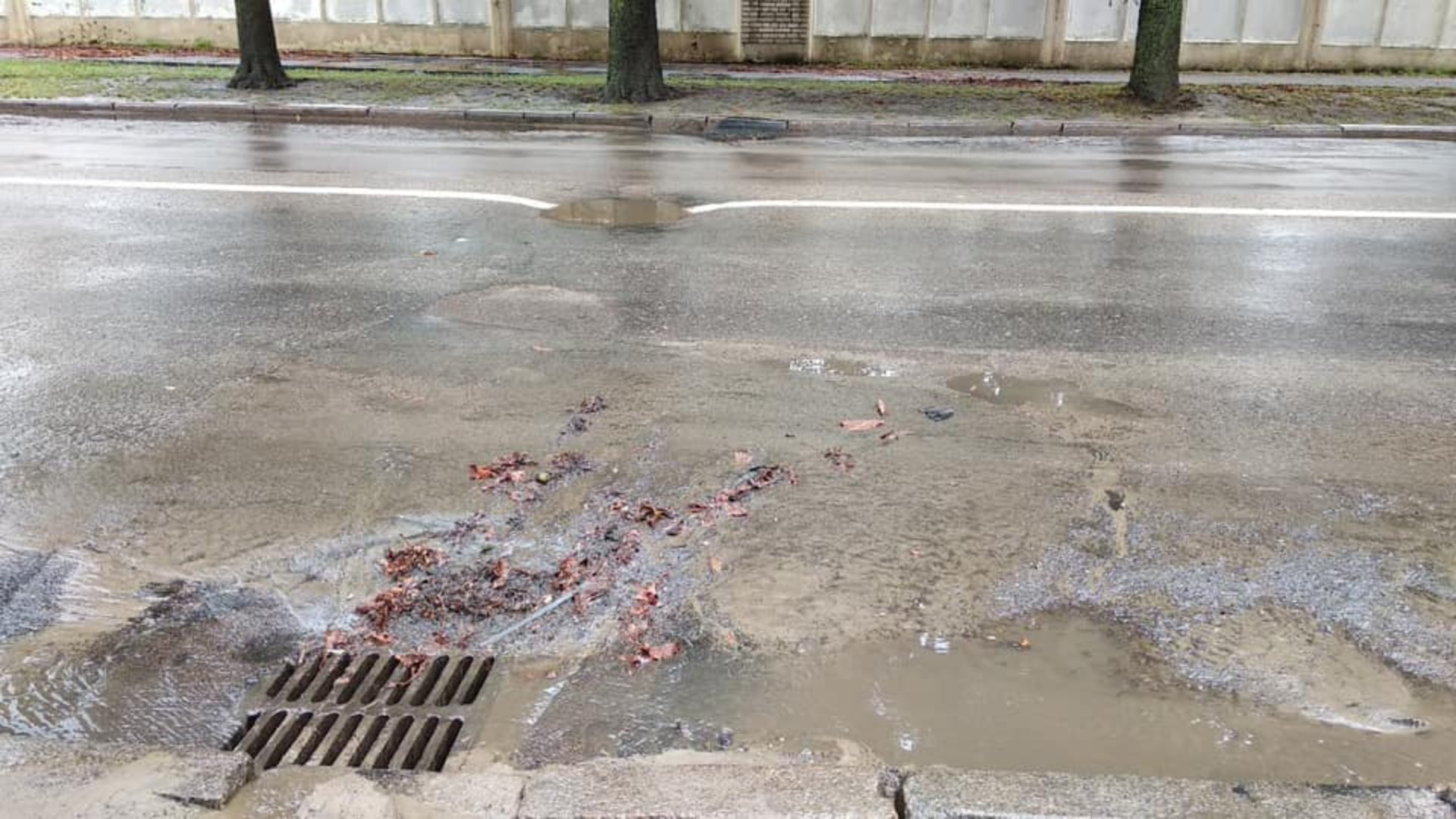 У Львові затопило Левандівку. Фото: Ігор Зінкевич.