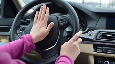 Львівська підприємиця скасувала 20,4 тис. грн штрафу за їзду без прав
