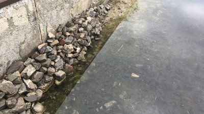 У Львові чиновникам нагадали про Левандівське озеро (ФОТО, ВІДЕО)