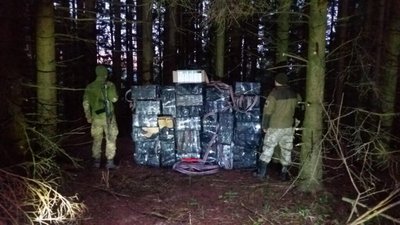 У буковинському лісі знайшли сигарети на пів мільйона гривень (ВІДЕО)